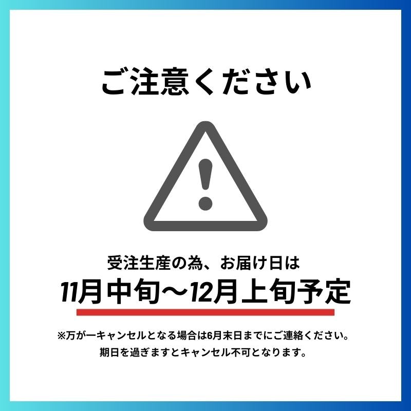 【ブルーモリス】 S-POTION.Ltd エスポーションリミテッド Bluemoris 国産スキーメーカー 【7月末注文締め切り予定】