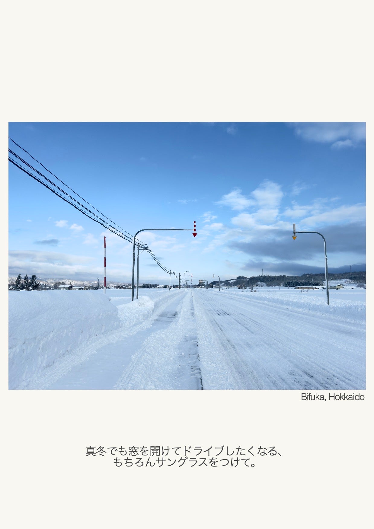 WHITE SPIDER 01|発行者Yuto Muraki